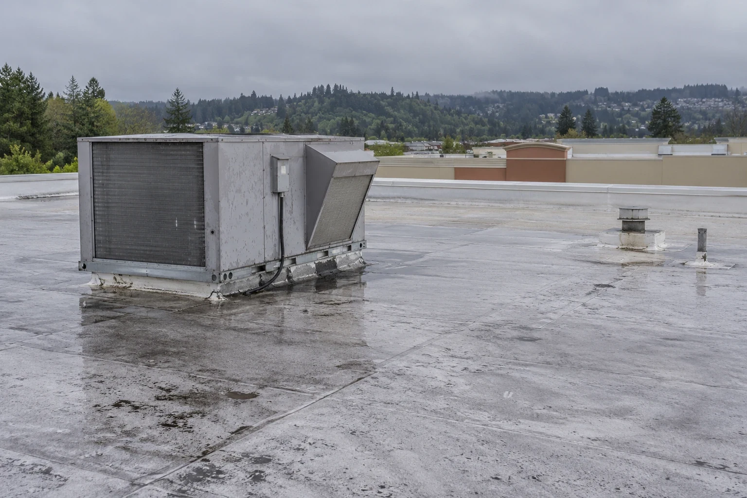 Commercial Roofing for Retail and Restaurant Chains in Renton, WA Commercial Roofing for Retail and Restaurant Chains in Renton, WA