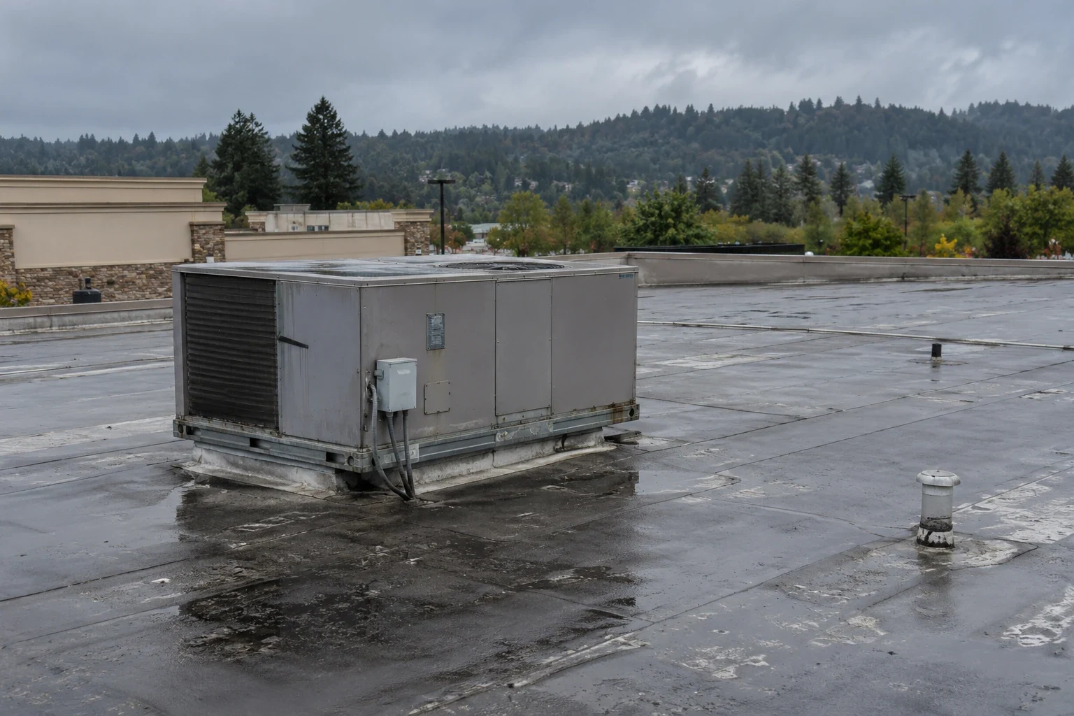 Grocery Store Roofing in Renton, WA Grocery Store Roofing in Renton, WA
